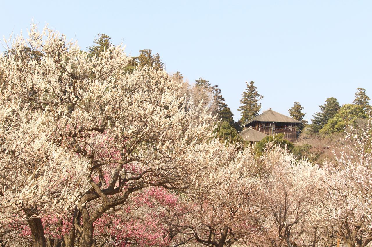 Oarai Hotel Kültér fotó
